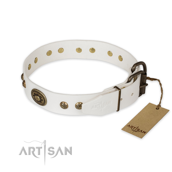 Corrosion proof traditional buckle on full grain leather collar for everyday walking your canine