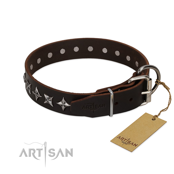 Everyday use decorated dog collar of reliable natural leather
