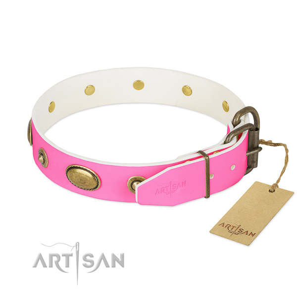 Rust-proof traditional buckle on genuine leather dog collar for your dog