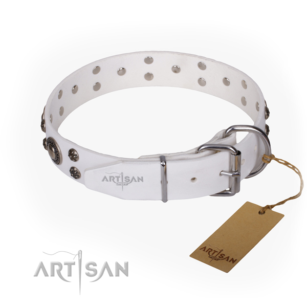 Daily use studded dog collar of durable leather