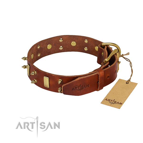 Daily use adorned dog collar of durable natural leather