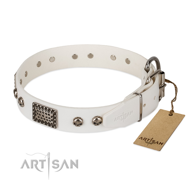 Strong adornments on everyday use dog collar