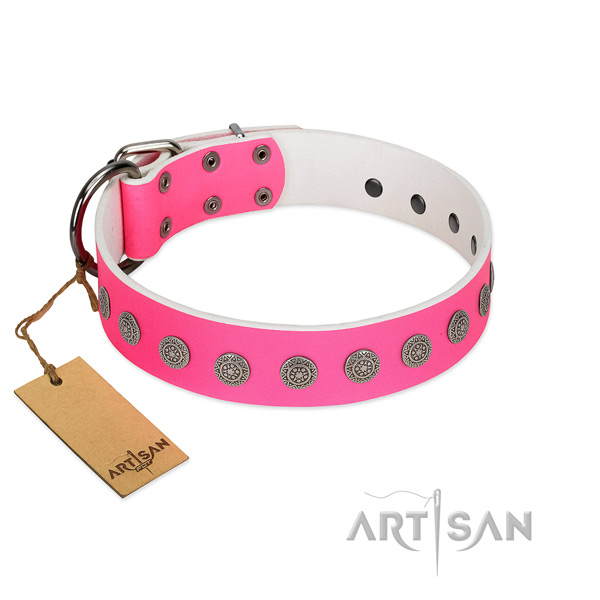 Significant adornments on genuine leather collar for handy use your canine