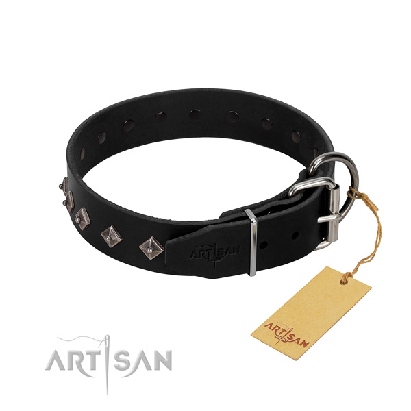 Leather dog collar with incredible decorations for your doggie