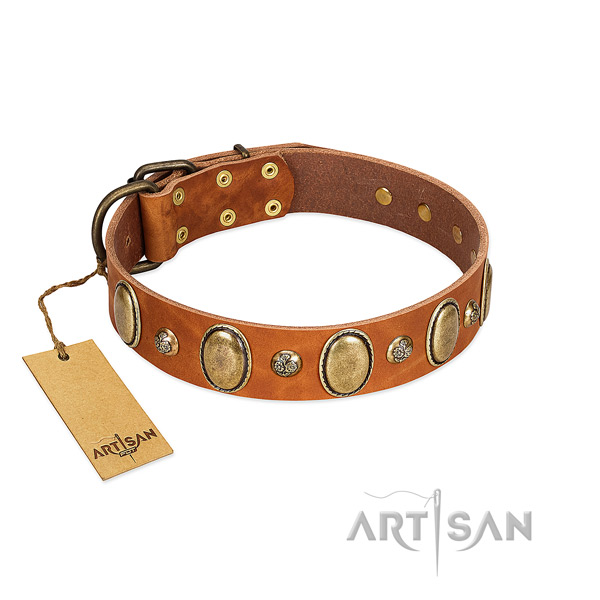 Full grain leather dog collar of high quality material with extraordinary embellishments