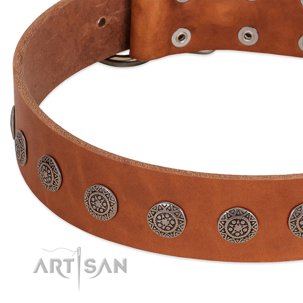 Top quality full grain natural leather collar with adornments for your dog