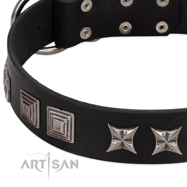 Handy use leather dog collar with incredible embellishments