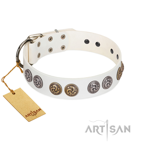 Fashionable collar of full grain natural leather for your stylish canine