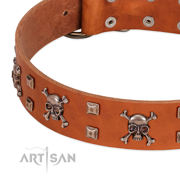 Easy wearing full grain natural leather collar for your dog