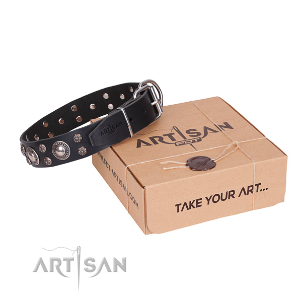 Daily walking dog collar of quality natural leather with decorations