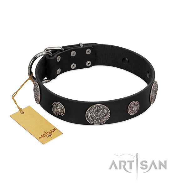Top quality full grain leather collar for your stylish pet