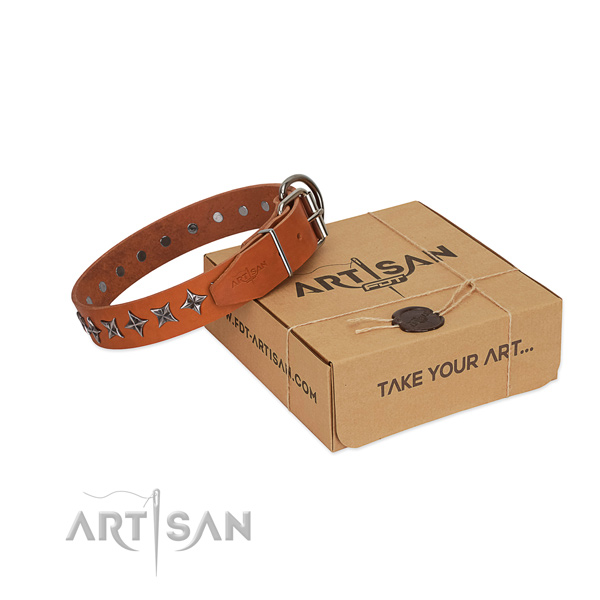 Everyday walking dog collar of top quality full grain leather with embellishments