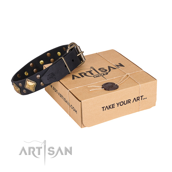 Everyday use dog collar with Significant corrosion proof embellishments