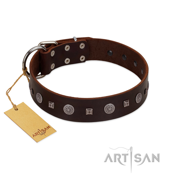 Adjustable collar of full grain genuine leather for your stylish doggie