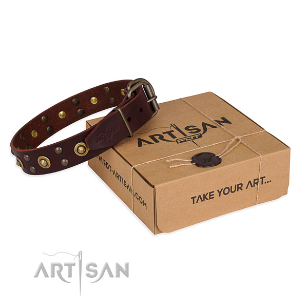 Reliable buckle on full grain genuine leather collar for your stylish doggie