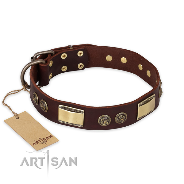 Unusual leather dog collar for everyday use