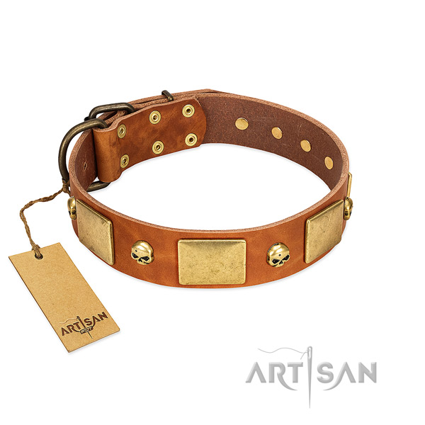 Durable leather dog collar with rust resistant decorations
