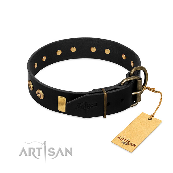 Leather dog collar with unusual embellishments for comfortable wearing