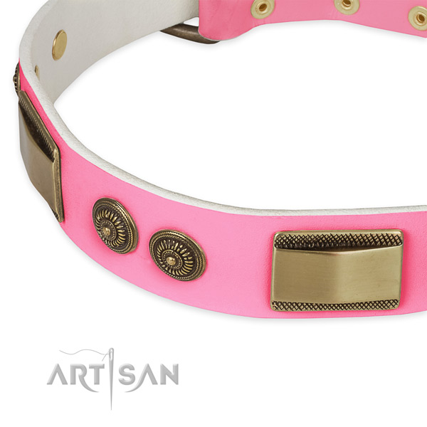 Leather dog collar with adornments for everyday use