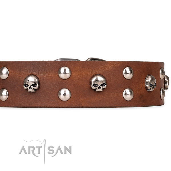 Comfy wearing adorned dog collar of durable genuine leather