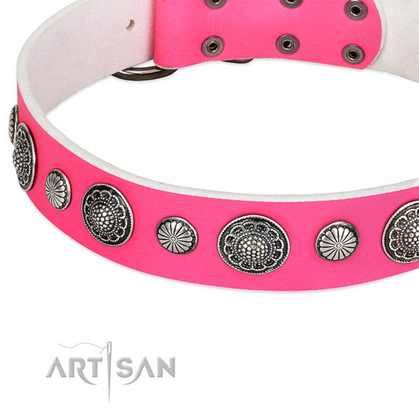 Full grain natural leather collar with durable fittings for your impressive doggie