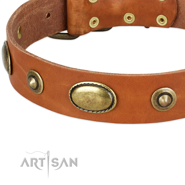 Durable hardware on full grain genuine leather dog collar for your four-legged friend