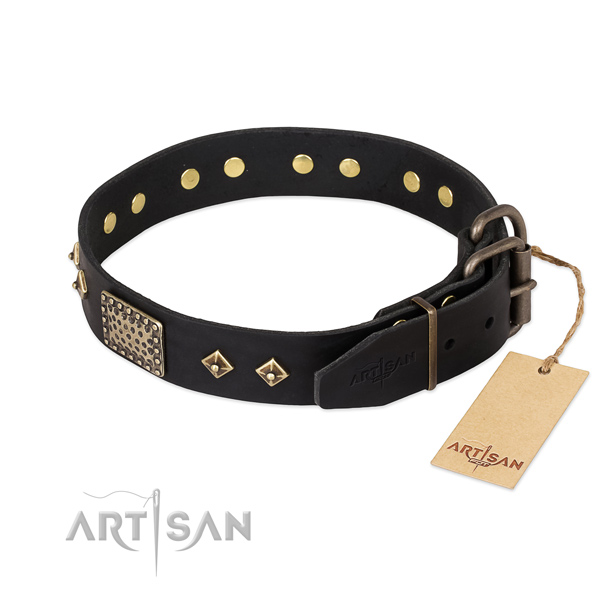 Full grain natural leather dog collar with strong fittings and studs