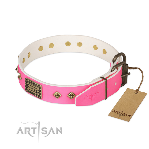 Durable embellishments on comfortable wearing dog collar