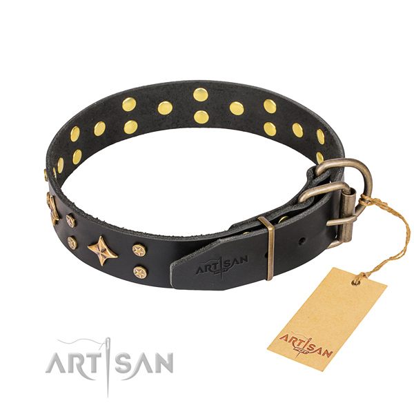 Everyday walking embellished dog collar of quality full grain leather