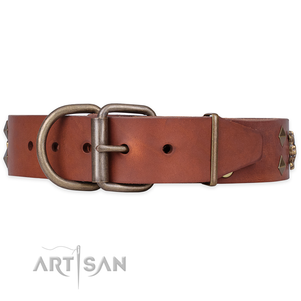 Everyday use adorned dog collar of top quality full grain leather