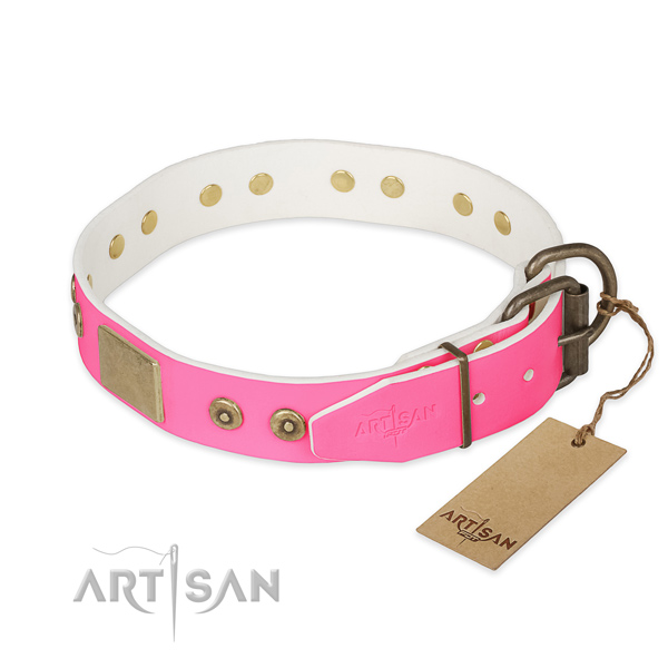 Rust-proof adornments on everyday walking dog collar