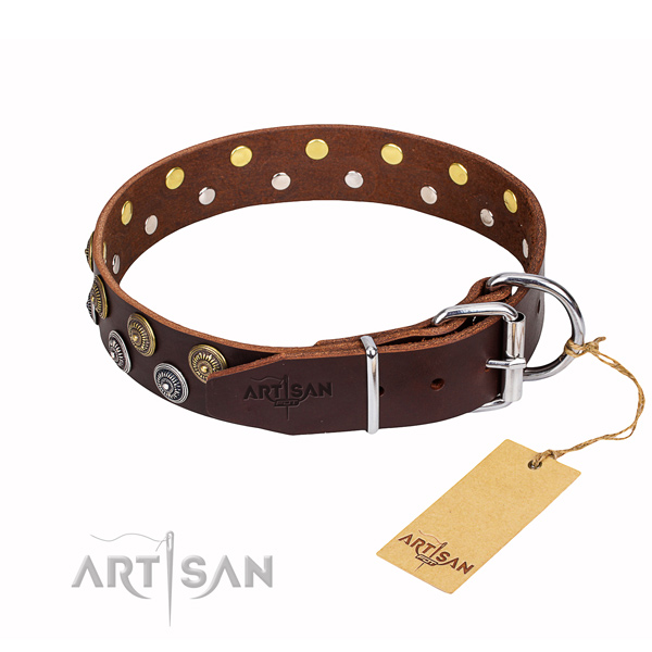 Walking adorned dog collar of best quality full grain genuine leather
