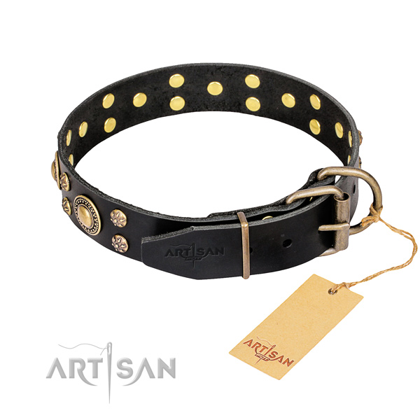 Easy wearing studded dog collar of strong genuine leather