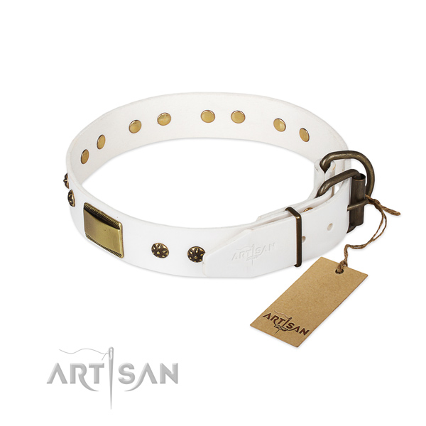 Full grain natural leather dog collar with durable D-ring and embellishments