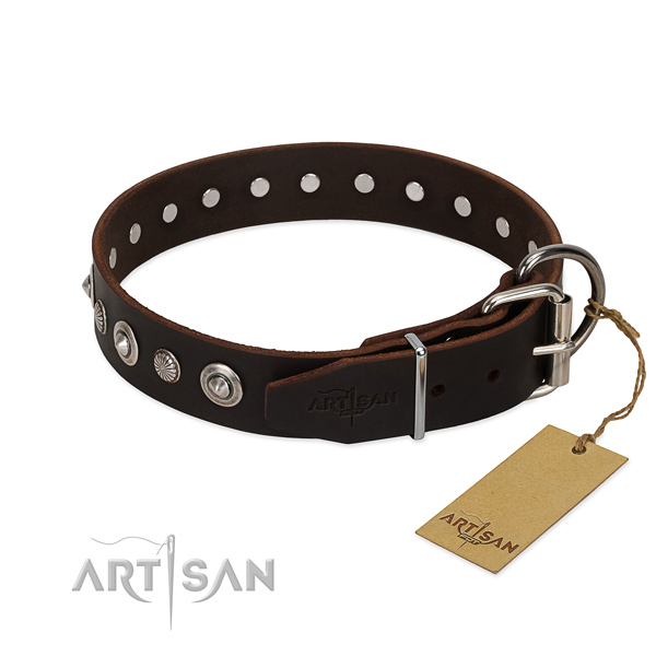 Top notch leather dog collar with awesome studs