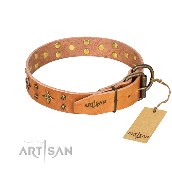 Walking adorned dog collar of best quality leather
