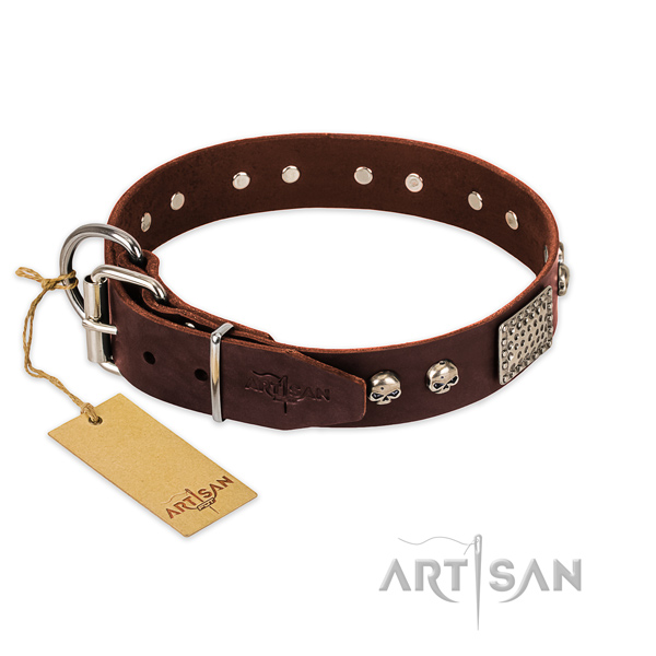 Corrosion proof adornments on daily walking dog collar