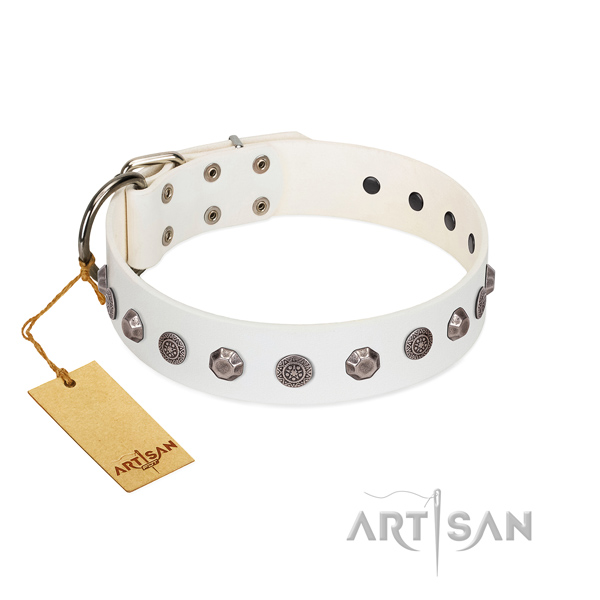 Genuine leather dog collar of high quality material with unique decorations