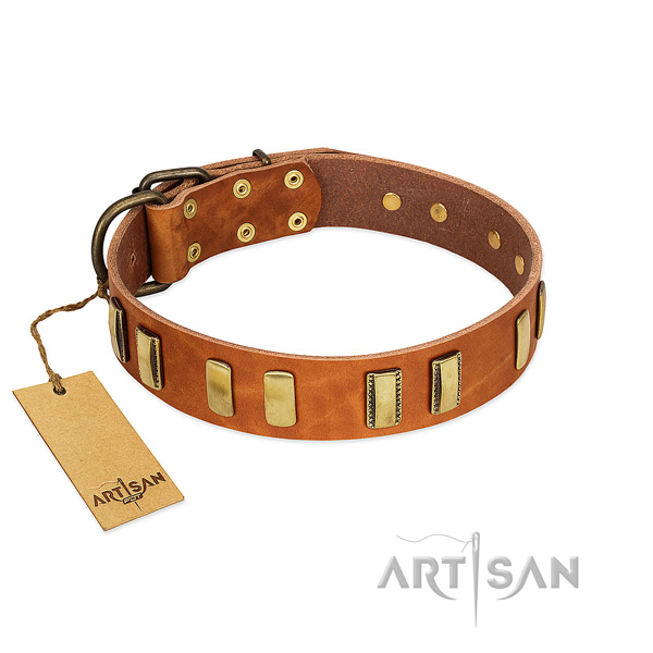 Soft full grain natural leather dog collar with rust resistant traditional buckle