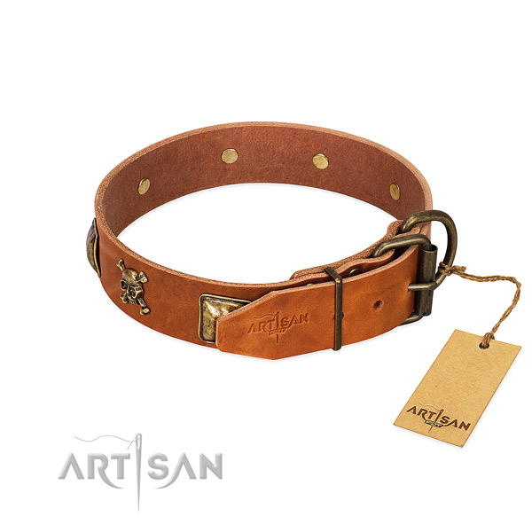 Remarkable full grain genuine leather dog collar with strong adornments