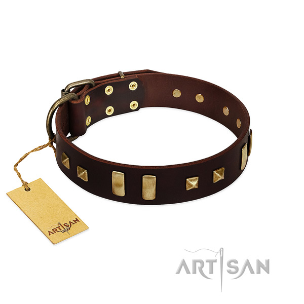 Leather dog collar with reliable traditional buckle