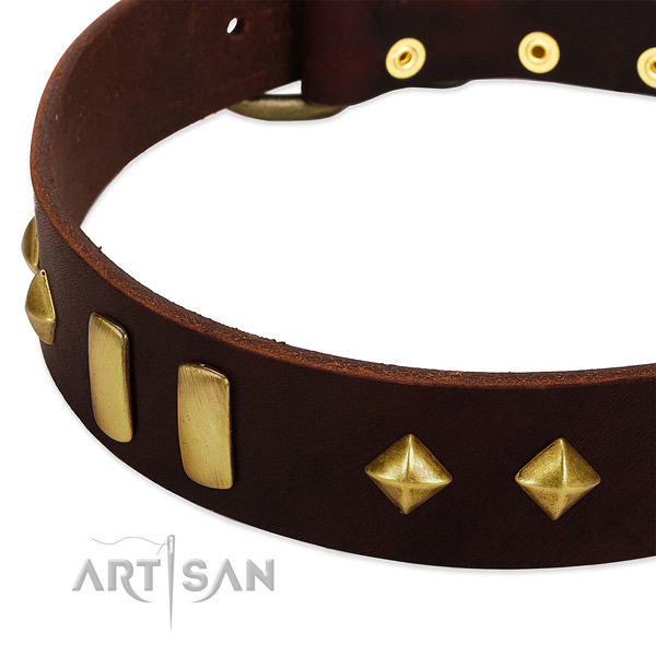 Top notch genuine leather dog collar with stylish studs