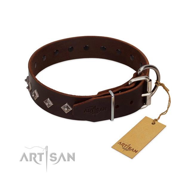 Fashionable decorations on leather collar for daily use your doggie