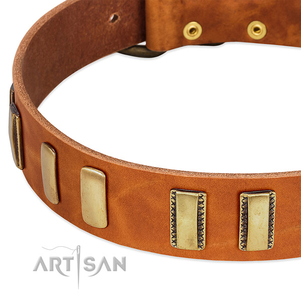 Best quality genuine leather dog collar with studs for stylish walking