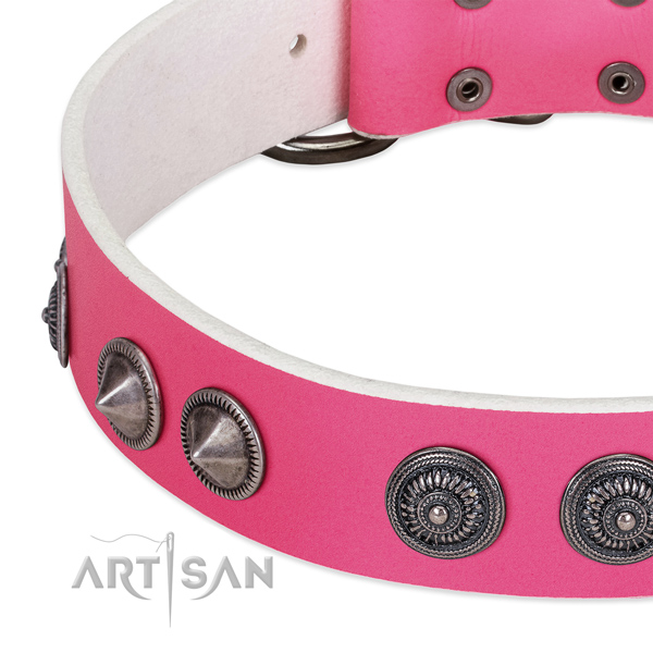 Best quality full grain natural leather collar with studs for your canine