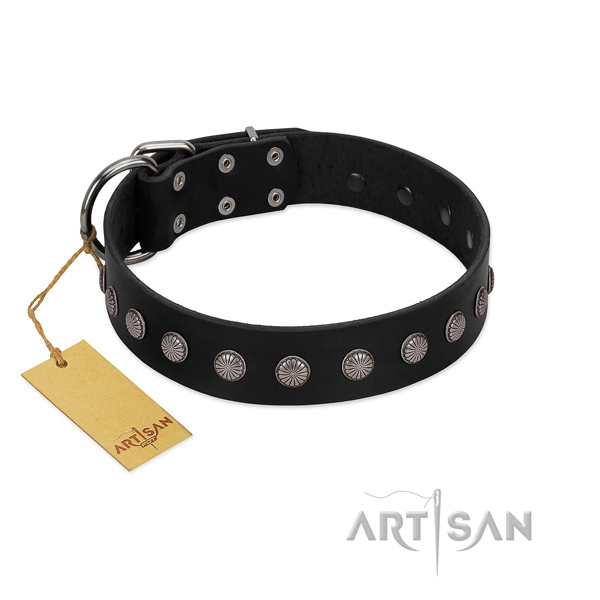 Leather dog collar with stylish embellishments made pet