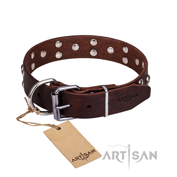Daily use dog collar of high quality full grain leather with adornments