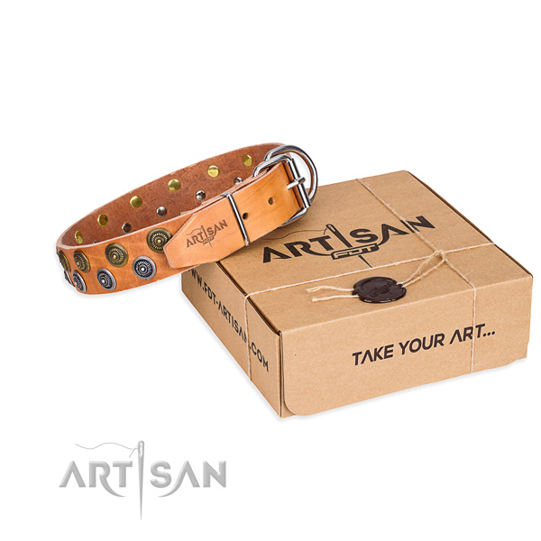 Easy wearing dog collar of fine quality full grain natural leather with decorations