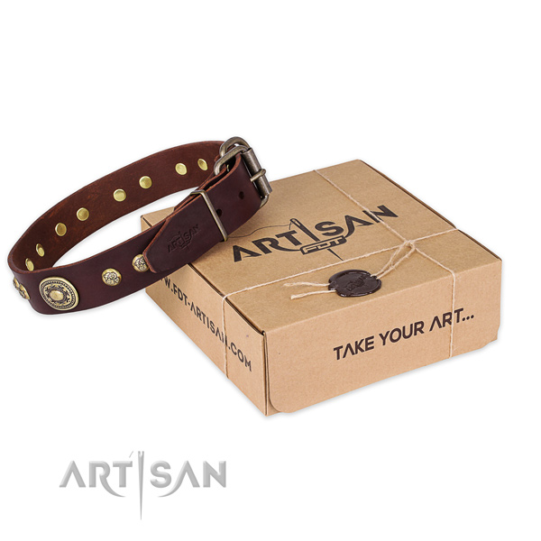 Rust resistant traditional buckle on full grain natural leather dog collar for easy wearing