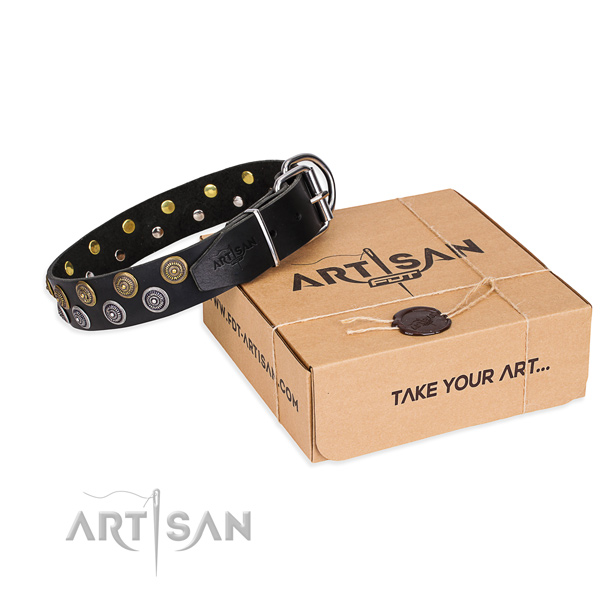 Daily walking dog collar of high quality genuine leather with studs